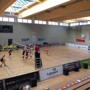 Laitamainos "Moba" - Image 3